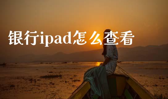 银行ipad怎么查看_https://m.sdyuehang.cn_国际期货恒指直播间_第1张