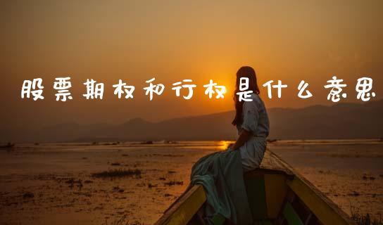 股票期权和行权是什么意思_https://m.sdyuehang.cn_恒指直播_第1张