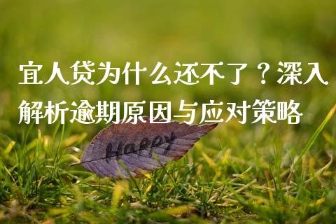 宜人贷为什么还不了？深入解析逾期原因与应对策略_https://m.sdyuehang.cn_纳指直播喊单_第1张