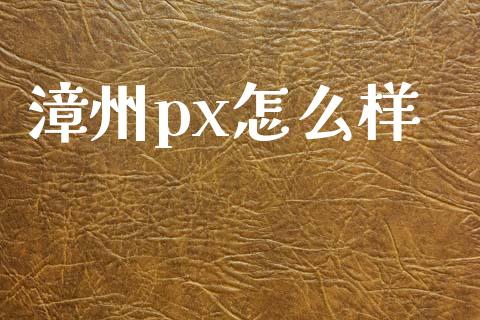 漳州px怎么样_https://m.sdyuehang.cn_国际期货恒指直播间_第1张