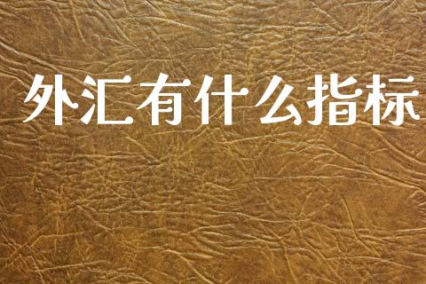 外汇有什么指标_https://m.sdyuehang.cn_德指直播室_第1张