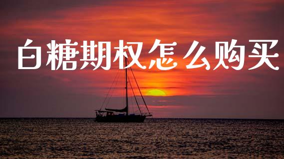 白糖期权怎么购买_https://m.sdyuehang.cn_国际期货恒指直播间_第1张
