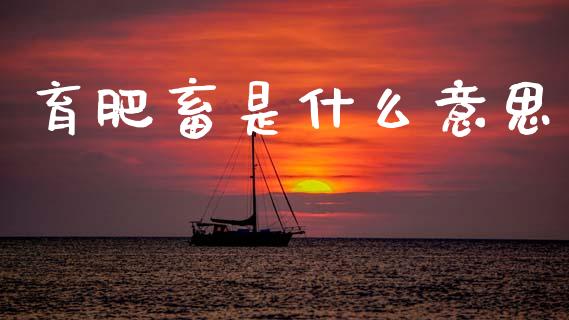 育肥畜是什么意思_https://m.sdyuehang.cn_纳指直播喊单_第1张
