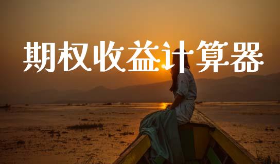 期权收益计算器_https://m.sdyuehang.cn_国际期货恒指直播间_第1张
