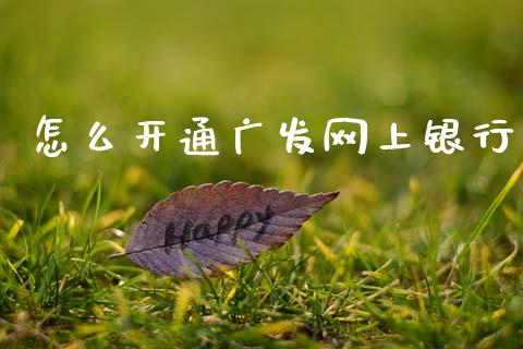怎么开通广发网上银行_https://m.sdyuehang.cn_纳指直播喊单_第1张