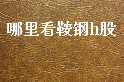 哪里看鞍钢h股_https://m.sdyuehang.cn_德指直播室_第1张
