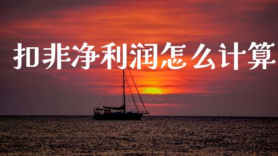 扣非净利润怎么计算_https://m.sdyuehang.cn_国际期货恒指直播间_第1张