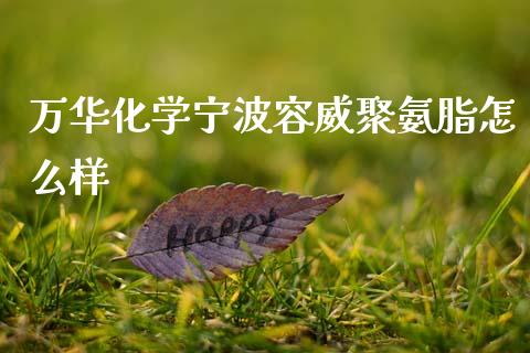 万华化学宁波容威聚氨脂怎么样_https://m.sdyuehang.cn_国际期货恒指直播间_第1张