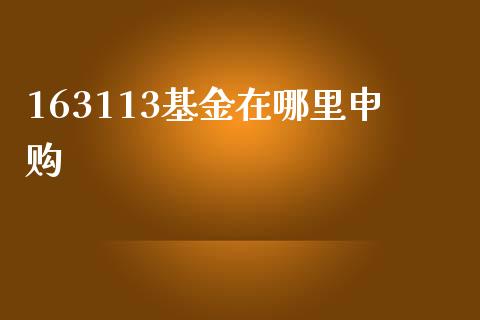 163113基金在哪里申购_https://m.sdyuehang.cn_德指直播室_第1张