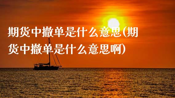 期货中撤单是什么意思(期货中撤单是什么意思啊)_https://m.sdyuehang.cn_恒指直播_第1张