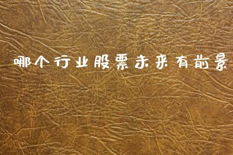哪个行业股票未来有前景_https://m.sdyuehang.cn_恒指直播_第1张