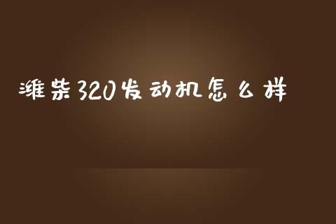 潍柴320发动机怎么样_https://m.sdyuehang.cn_纳指直播喊单_第1张