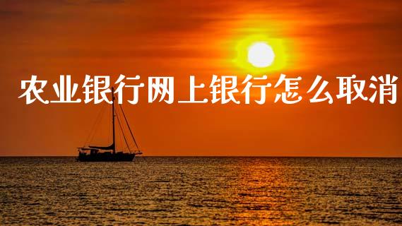 农业银行网上银行怎么取消_https://m.sdyuehang.cn_德指直播室_第1张