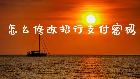 怎么修改招行支付密码_https://m.sdyuehang.cn_德指直播室_第1张