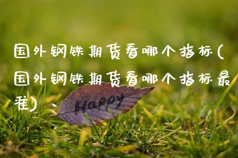 国外钢铁期货看哪个指标(国外钢铁期货看哪个指标最准)_https://m.sdyuehang.cn_恒指直播_第1张