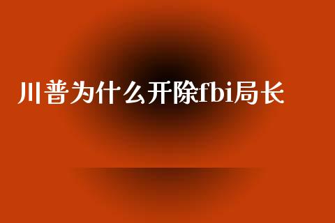 川普为什么开除fbi局长_https://m.sdyuehang.cn_德指直播室_第1张