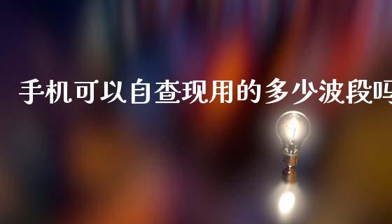 手机可以自查现用的多少波段吗_https://m.sdyuehang.cn_德指直播室_第1张