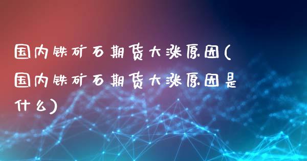 国内铁矿石期货大涨原因(国内铁矿石期货大涨原因是什么)_https://m.sdyuehang.cn_纳指直播喊单_第1张