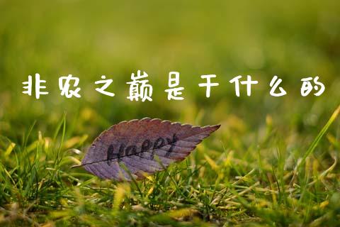非农之巅是干什么的_https://m.sdyuehang.cn_恒指直播_第1张