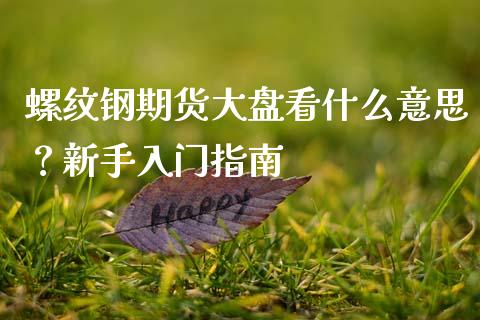 螺纹钢期货大盘看什么意思？新手入门指南_https://m.sdyuehang.cn_德指直播室_第1张