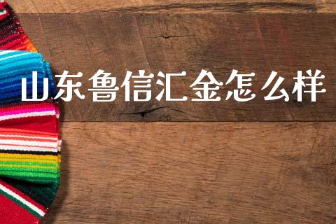 山东鲁信汇金怎么样_https://m.sdyuehang.cn_德指直播室_第1张