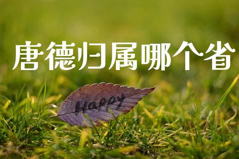 唐德归属哪个省_https://m.sdyuehang.cn_国际期货恒指直播间_第1张