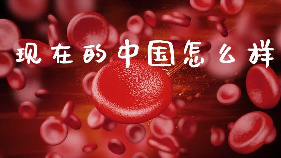 现在的中国怎么样_https://m.sdyuehang.cn_纳指直播喊单_第1张