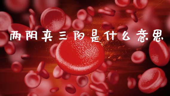 两阴夹三阳是什么意思_https://m.sdyuehang.cn_德指直播室_第1张