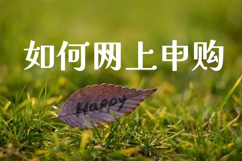 如何网上申购_https://m.sdyuehang.cn_恒指直播_第1张