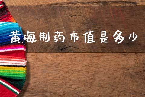 黄海制药市值是多少_https://m.sdyuehang.cn_纳指直播喊单_第1张