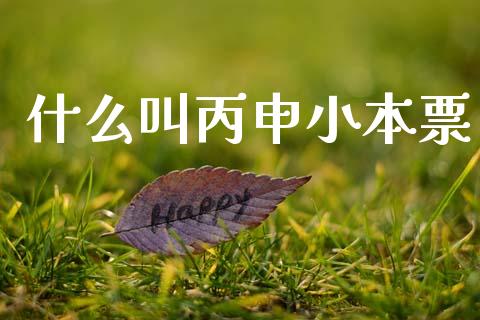 什么叫丙申小本票_https://m.sdyuehang.cn_国际期货恒指直播间_第1张