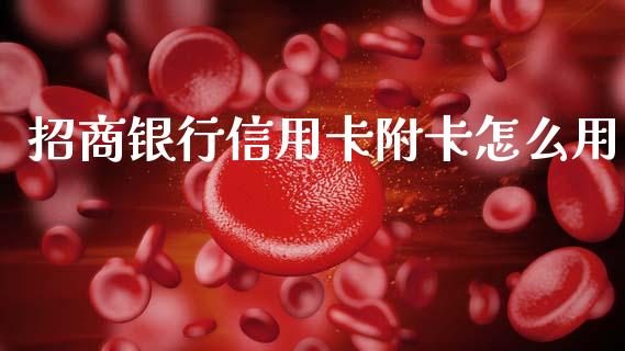 招商银行信用卡附卡怎么用_https://m.sdyuehang.cn_德指直播室_第1张