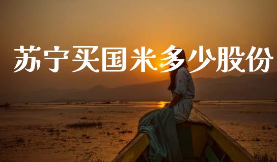 苏宁买国米多少股份_https://m.sdyuehang.cn_恒指直播_第1张