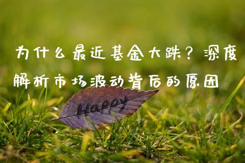 为什么最近基金大跌？深度解析市场波动背后的原因_https://m.sdyuehang.cn_德指直播室_第1张