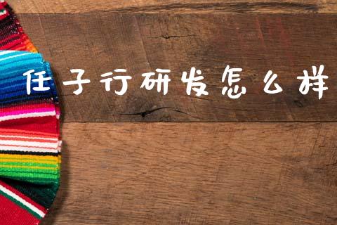 任子行研发怎么样_https://m.sdyuehang.cn_国际期货恒指直播间_第1张