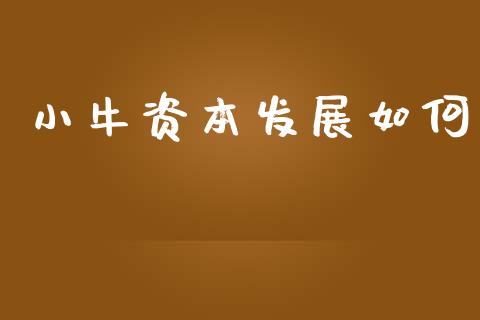 小牛资本发展如何_https://m.sdyuehang.cn_恒指直播_第1张