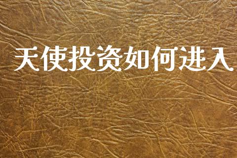 天使投资如何进入_https://m.sdyuehang.cn_纳指直播喊单_第1张