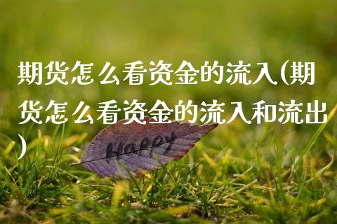 期货怎么看资金的流入(期货怎么看资金的流入和流出)_https://m.sdyuehang.cn_国际期货恒指直播间_第1张