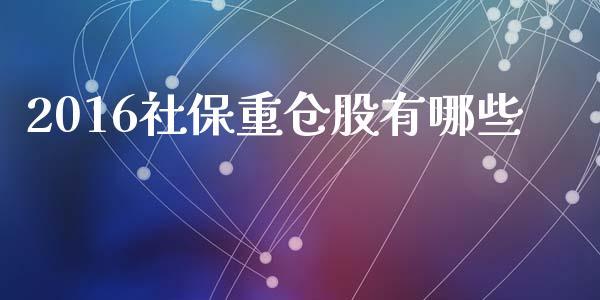 2016社保重仓股有哪些_https://m.sdyuehang.cn_恒指直播_第1张