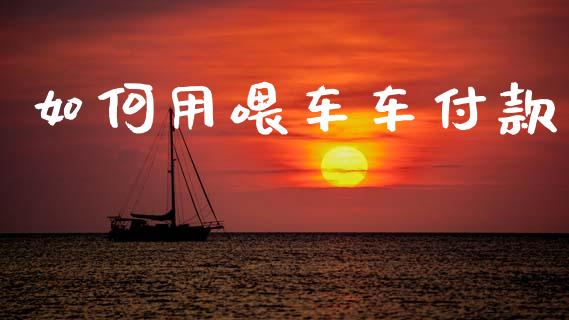 如何用喂车车付款_https://m.sdyuehang.cn_纳指直播喊单_第1张