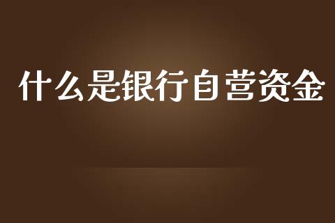 什么是银行自营资金_https://m.sdyuehang.cn_国际期货恒指直播间_第1张
