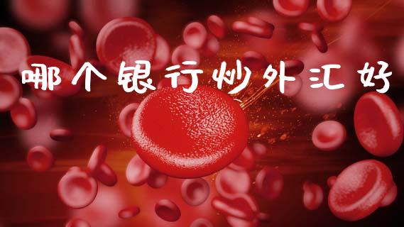 哪个银行炒外汇好_https://m.sdyuehang.cn_国际期货恒指直播间_第1张