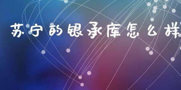 苏宁的银承库怎么样_https://m.sdyuehang.cn_纳指直播喊单_第1张