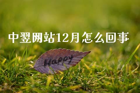 中翌网站12月怎么回事_https://m.sdyuehang.cn_德指直播室_第1张