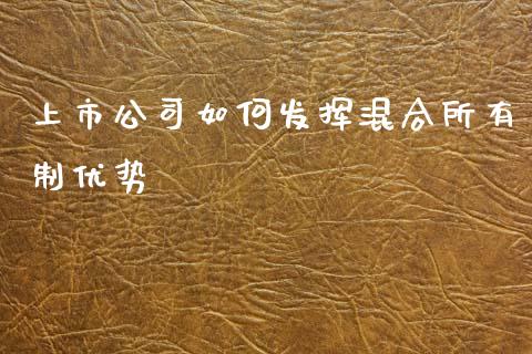 上市公司如何发挥混合所有制优势_https://m.sdyuehang.cn_恒指直播_第1张