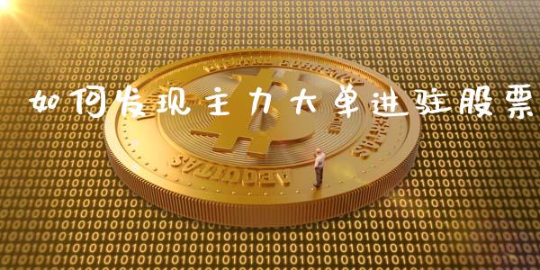 如何发现主力大单进驻股票_https://m.sdyuehang.cn_德指直播室_第1张