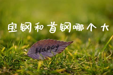 宝钢和首钢哪个大_https://m.sdyuehang.cn_恒指直播_第1张
