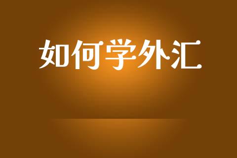 如何学外汇_https://m.sdyuehang.cn_纳指直播喊单_第1张