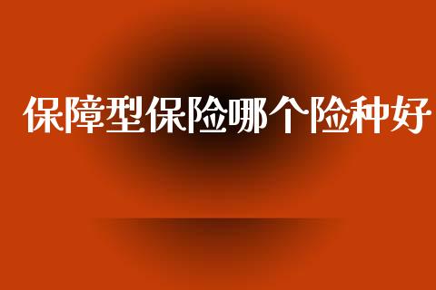 保障型保险哪个险种好_https://m.sdyuehang.cn_德指直播室_第1张