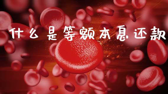 什么是等额本息还款_https://m.sdyuehang.cn_纳指直播喊单_第1张